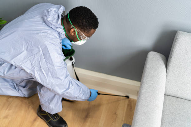 Best Bed Bug Extermination  in Prosper, TX